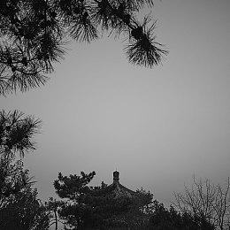 宫本茂称任天堂将以全新方式探索3D马里奥新游戏